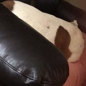 Meet your Posher, Melanie